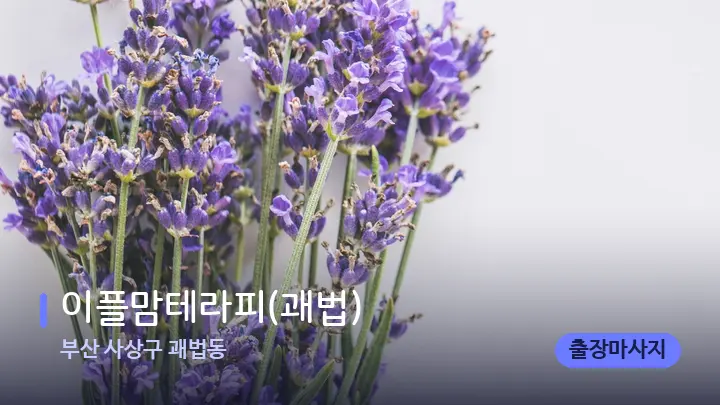 부산 사상구 괘법동 이플맘테라피(괘법) — 아로마테라피 오일