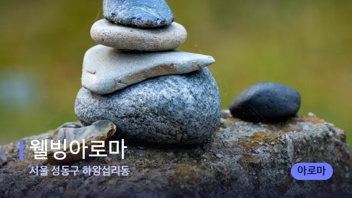 서울 성동구 하왕십리동 웰빙아로마 — 마사지용 스톤
