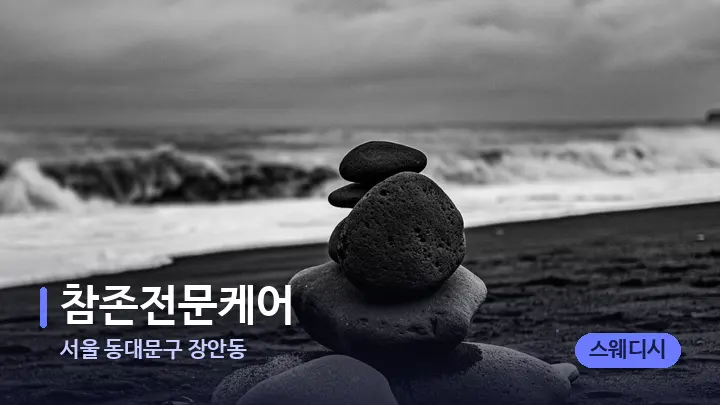 서울 동대문구 장안동 참존전문케어 — 마사지용 스톤