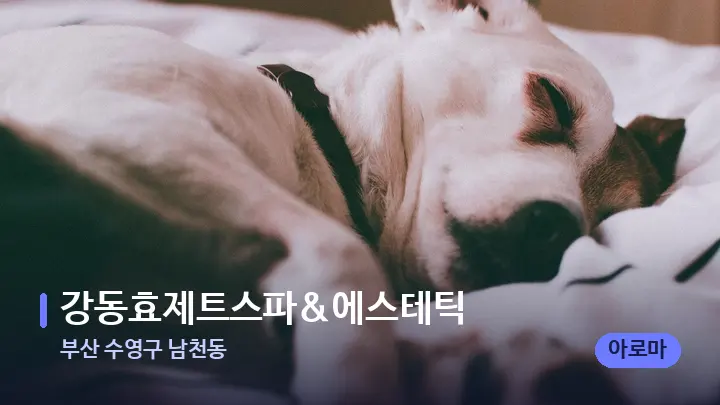 부산 수영구 남천동 강동효제트스파&에스테틱 — 휴식 분위기의 스파 베드
