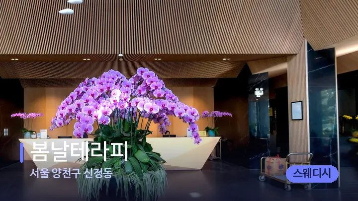 서울 양천구 신정동 봄날테라피 — 스파 프런트 공간