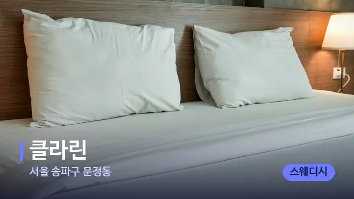 서울 송파구 문정동 클라린 — 휴식 분위기의 스파 베드