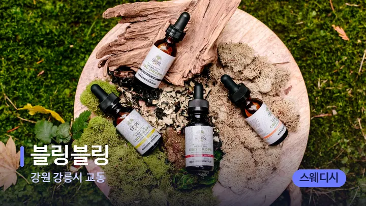 강원 강릉시 교동 블링블링 — 아로마테라피 오일