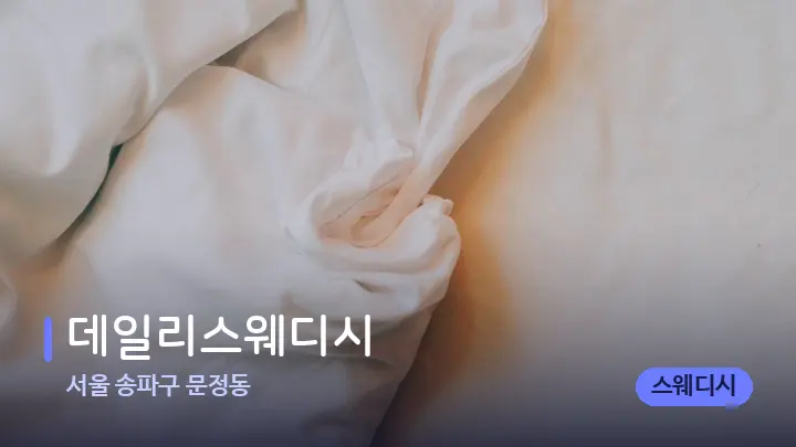 서울 송파구 문정동 데일리스웨디시 — 휴식 분위기의 스파 베드