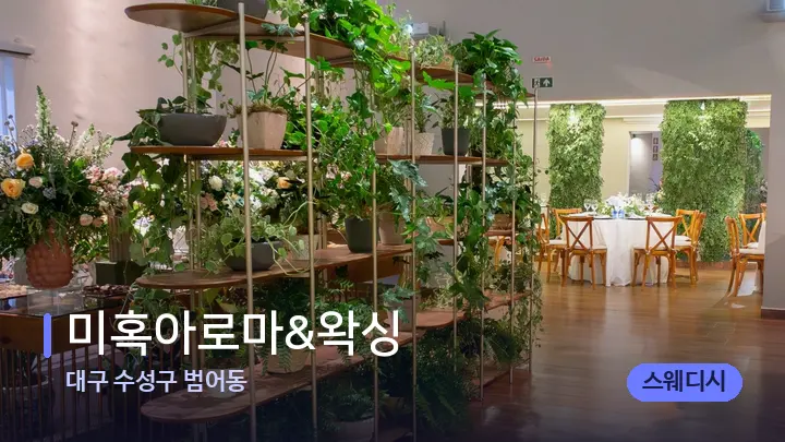 대구 수성구 범어동 미혹아로마&왁싱 — 스파 프런트 공간