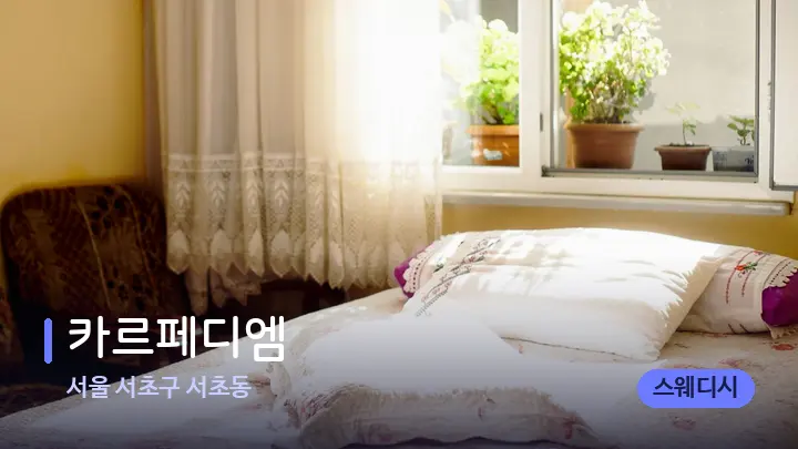 서울 서초구 서초동 카르페디엠 — 휴식 분위기의 스파 베드