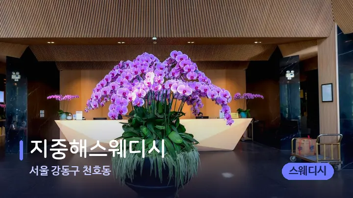 서울 강동구 천호동 지중해스웨디시 — 스파 프런트 공간