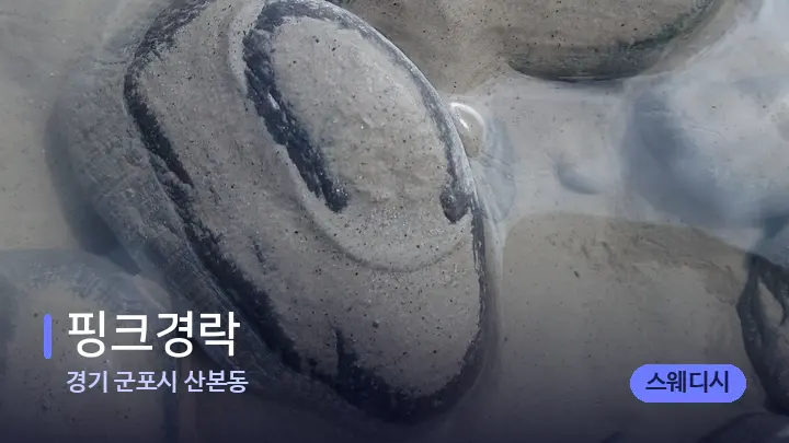 경기 군포시 산본동 핑크경락 — 마사지용 스톤