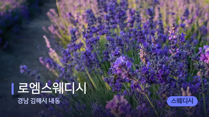 경남 김해시 내동 로엠스웨디시 — 아로마테라피 오일