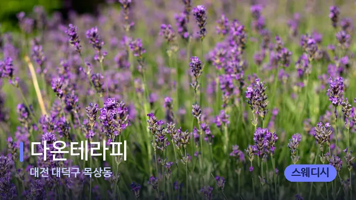 대전 대덕구 목상동 다온테라피 — 아로마테라피 오일