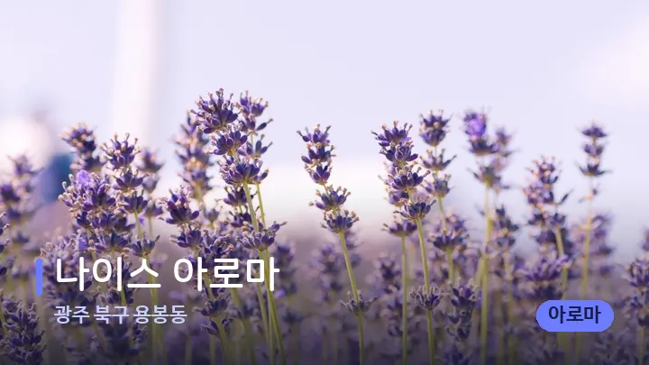 광주 북구 용봉동 나이스 아로마 — 아로마테라피 오일