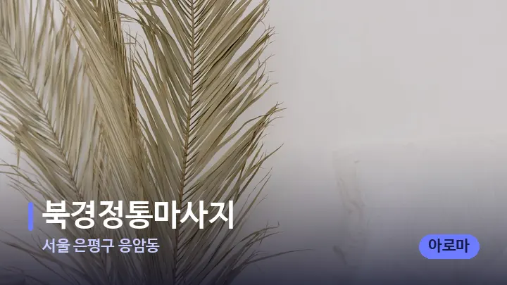 서울 은평구 응암동 북경정통마사지 — 휴식 분위기의 스파 베드