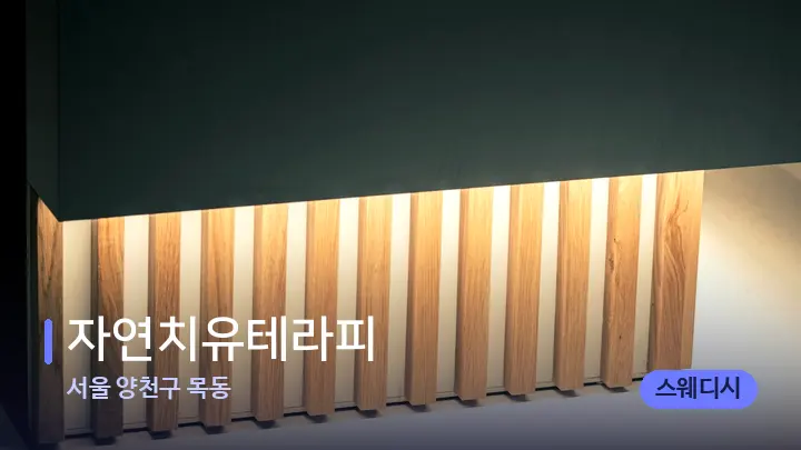 서울 양천구 목동 자연치유테라피 — 스파 프런트 공간