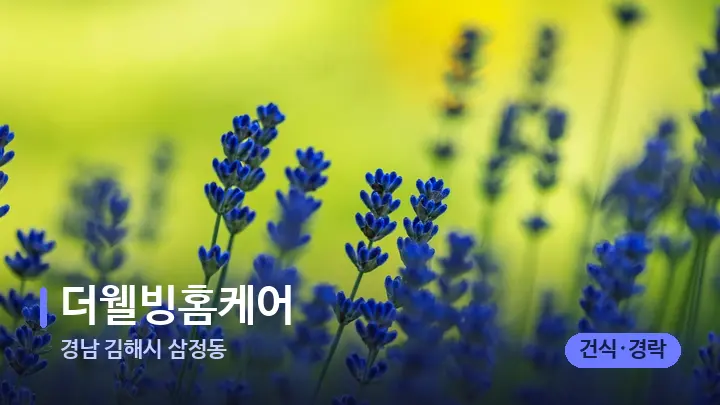 경남 김해시 삼정동 더웰빙홈케어 — 아로마테라피 오일