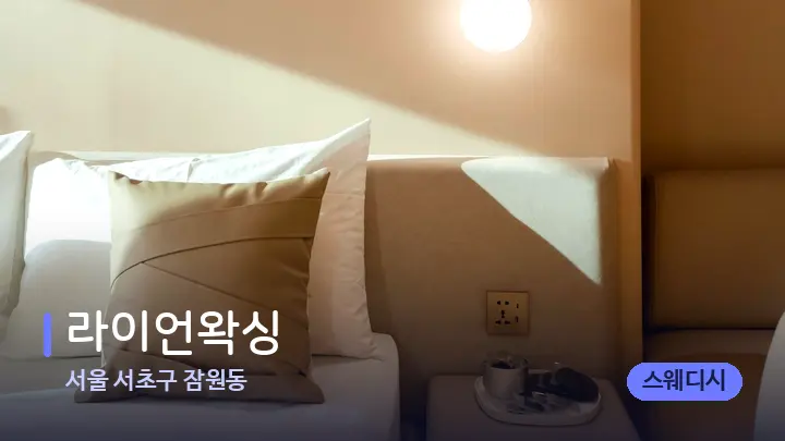 서울 서초구 잠원동 라이언왁싱 — 휴식 분위기의 스파 베드