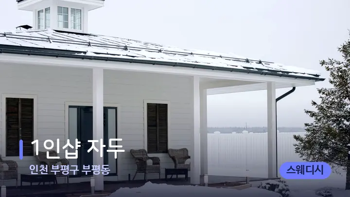 인천 부평구 부평동 1인샵 자두 — 스파 프런트 공간