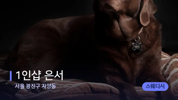 서울 광진구 자양동 1인샵 은서 — 휴식 분위기의 스파 베드
