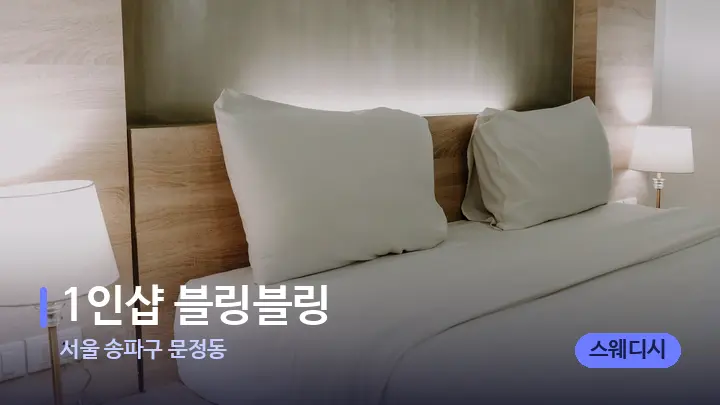 서울 송파구 문정동 1인샵 블링블링 — 휴식 분위기의 스파 베드
