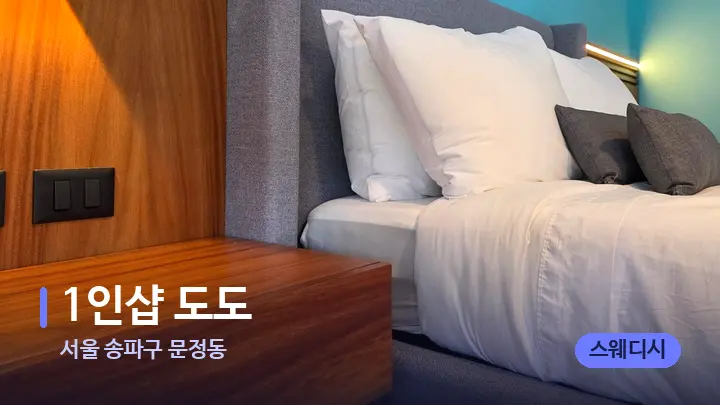 서울 송파구 문정동 1인샵 도도 — 휴식 분위기의 스파 베드