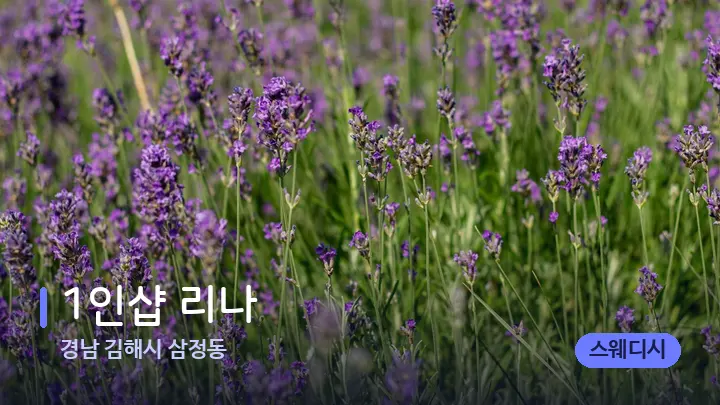 경남 김해시 삼정동 1인샵 리나 — 아로마테라피 오일
