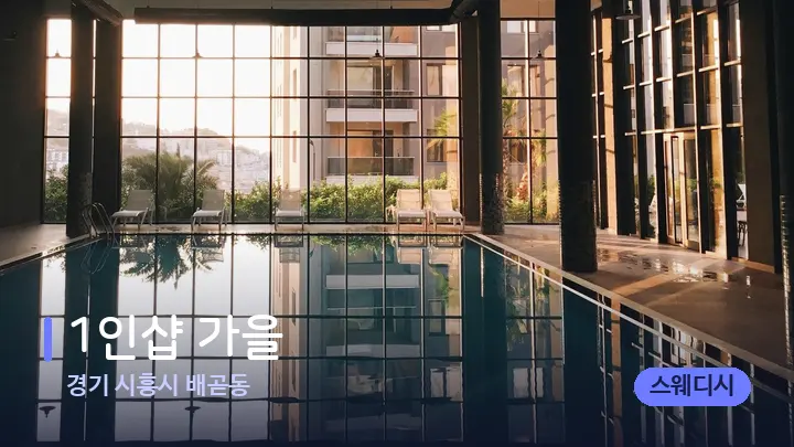 경기 시흥시 배곧동 1인샵 가을 — 웰니스 스파 공간