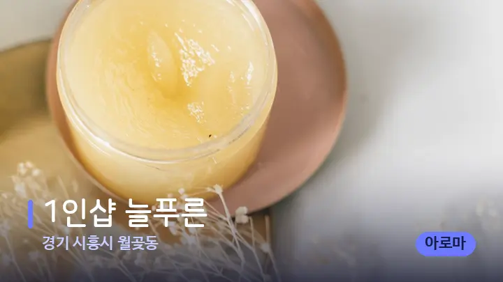 경기 시흥시 월곶동 1인샵 늘푸른 — 웰니스 스파 공간