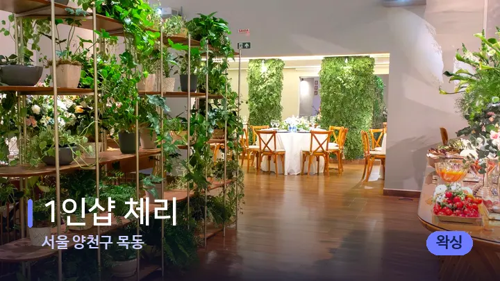 서울 양천구 목동 1인샵 체리 — 스파 프런트 공간
