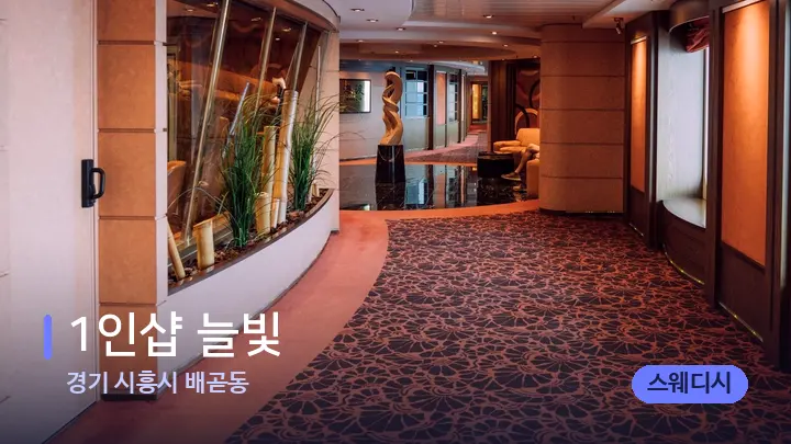 경기 시흥시 배곧동 1인샵 늘빛 — 웰니스 스파 공간