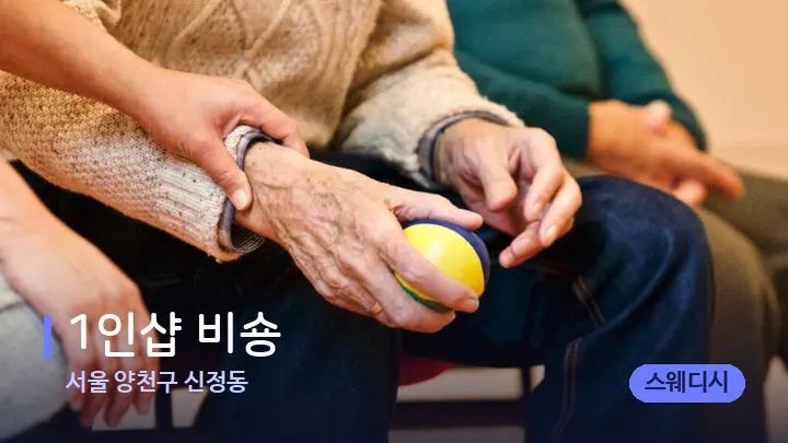 서울 양천구 신정동 1인샵 비숑 — 어깨를 다루는 관리사의 손