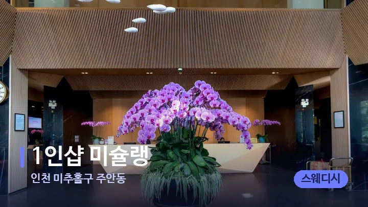 인천 미추홀구 주안동 1인샵 미슐랭 — 스파 프런트 공간