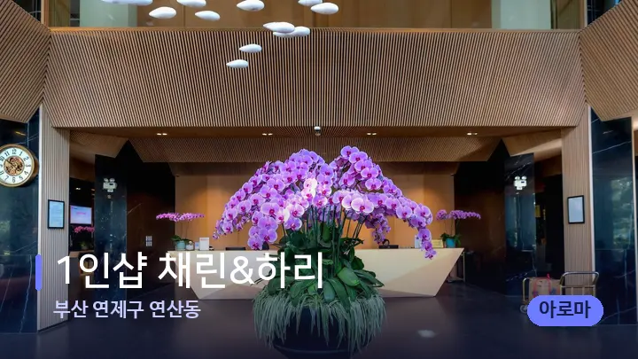 부산 연제구 연산동 1인샵 채린&하리 — 스파 프런트 공간