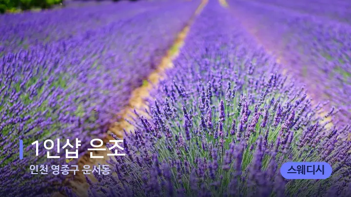 인천 영종구 운서동 1인샵 은조 — 아로마테라피 오일