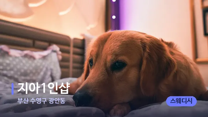 부산 수영구 광안동 지아1인샵 — 휴식 분위기의 스파 베드