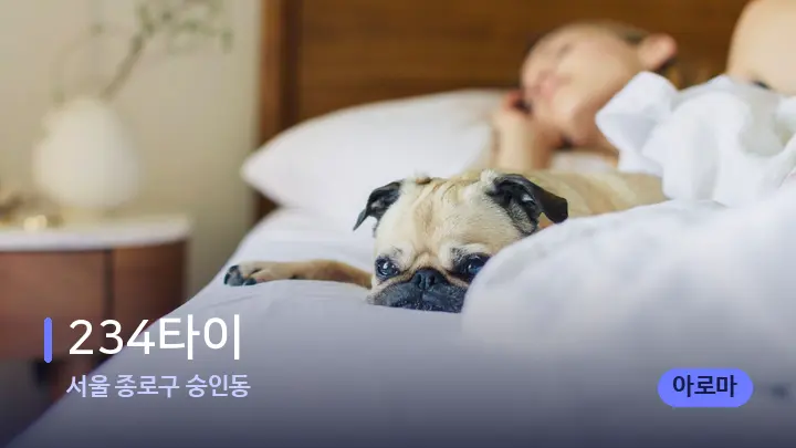 서울 종로구 숭인동 234타이 — 휴식 분위기의 스파 베드