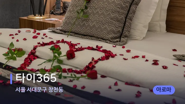 서울 서대문구 창천동 타이365 — 휴식 분위기의 스파 베드
