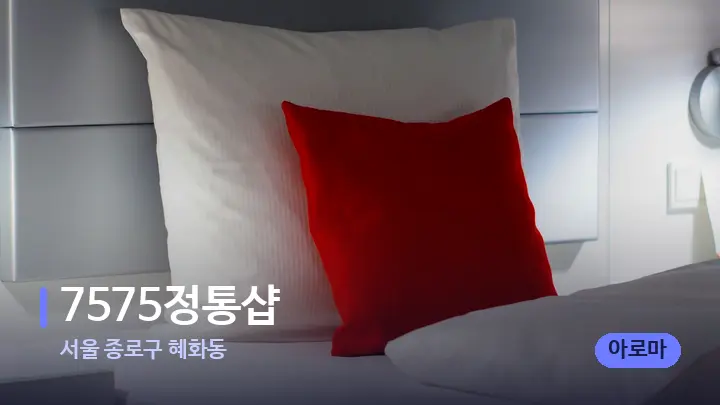서울 종로구 혜화동 7575정통샵 — 휴식 분위기의 스파 베드