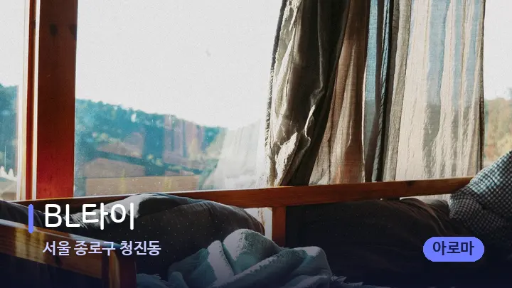 서울 종로구 청진동 BL타이 — 휴식 분위기의 스파 베드