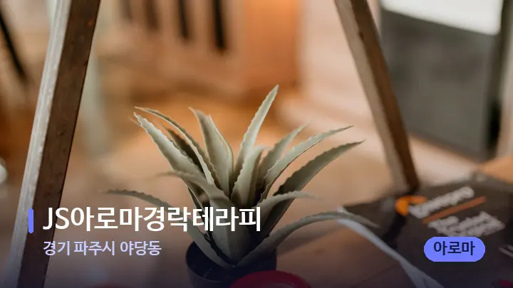 경기 파주시 야당동 JS아로마경락테라피 — 스파 프런트 공간