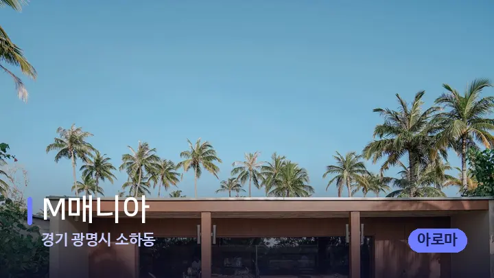 경기 광명시 소하동 M매니아 — 스파 프런트 공간