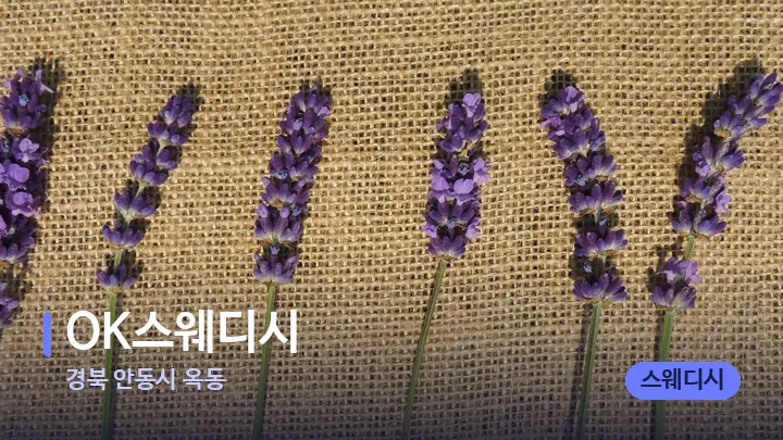 경북 안동시 옥동 OK스웨디시 — 아로마테라피 오일