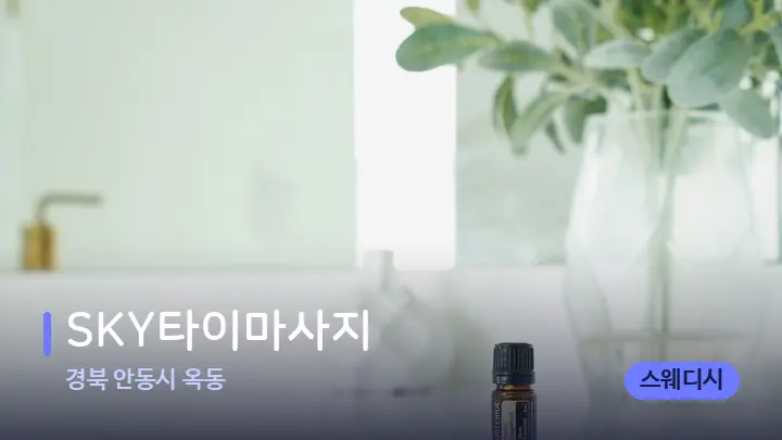 경북 안동시 옥동 SKY타이마사지 — 아로마테라피 오일