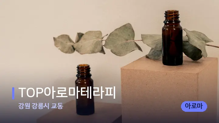 강원 강릉시 교동 TOP아로마테라피 — 아로마테라피 오일