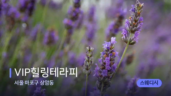 서울 마포구 상암동 VIP힐링테라피 — 아로마테라피 오일