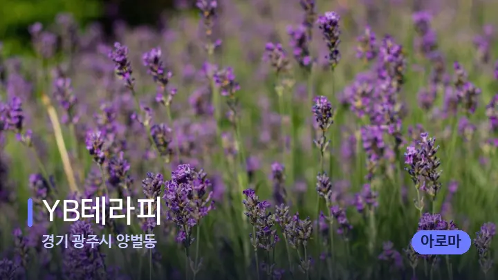 경기 광주시 양벌동 YB테라피 — 아로마테라피 오일