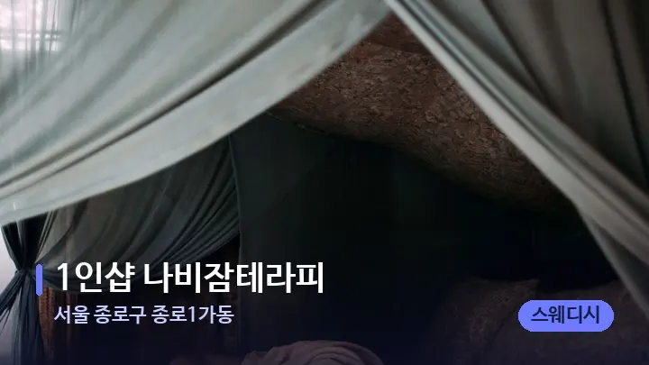 서울 종로구 종로1가동 1인샵 나비잠테라피 — 휴식 분위기의 스파 베드