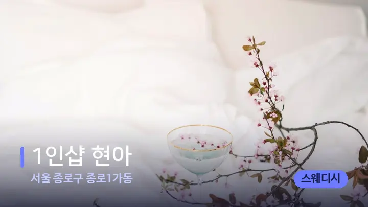 서울 종로구 종로1가동 1인샵 현아 — 휴식 분위기의 스파 베드