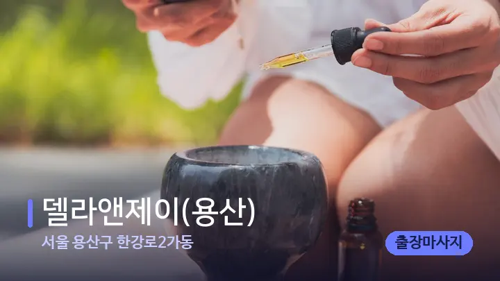서울 용산구 한강로2가동 델라앤제이(용산) — 아로마테라피 오일
