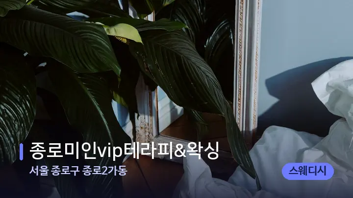 서울 종로구 종로2가동 종로미인vip테라피&왁싱 — 휴식 분위기의 스파 베드