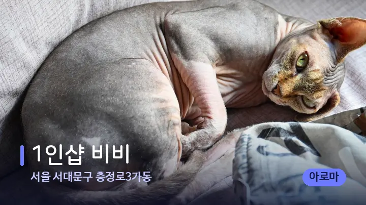 서울 서대문구 충정로3가동 1인샵 비비 — 휴식 분위기의 스파 베드