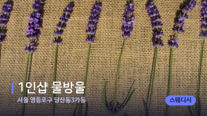 서울 영등포구 당산동3가동 1인샵 물방울 — 아로마테라피 오일